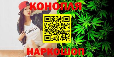 индика Гусь-Хрустальный