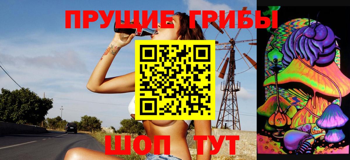 Псилоцибиновые грибы GOLDEN TEACHER  Вход с VPN  Галлюциногенные грибы мицелий  Тимашёвск 